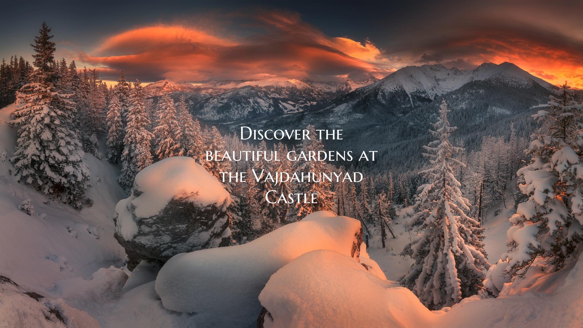 Discover the beautiful gardens at the Vajdahunyad ...