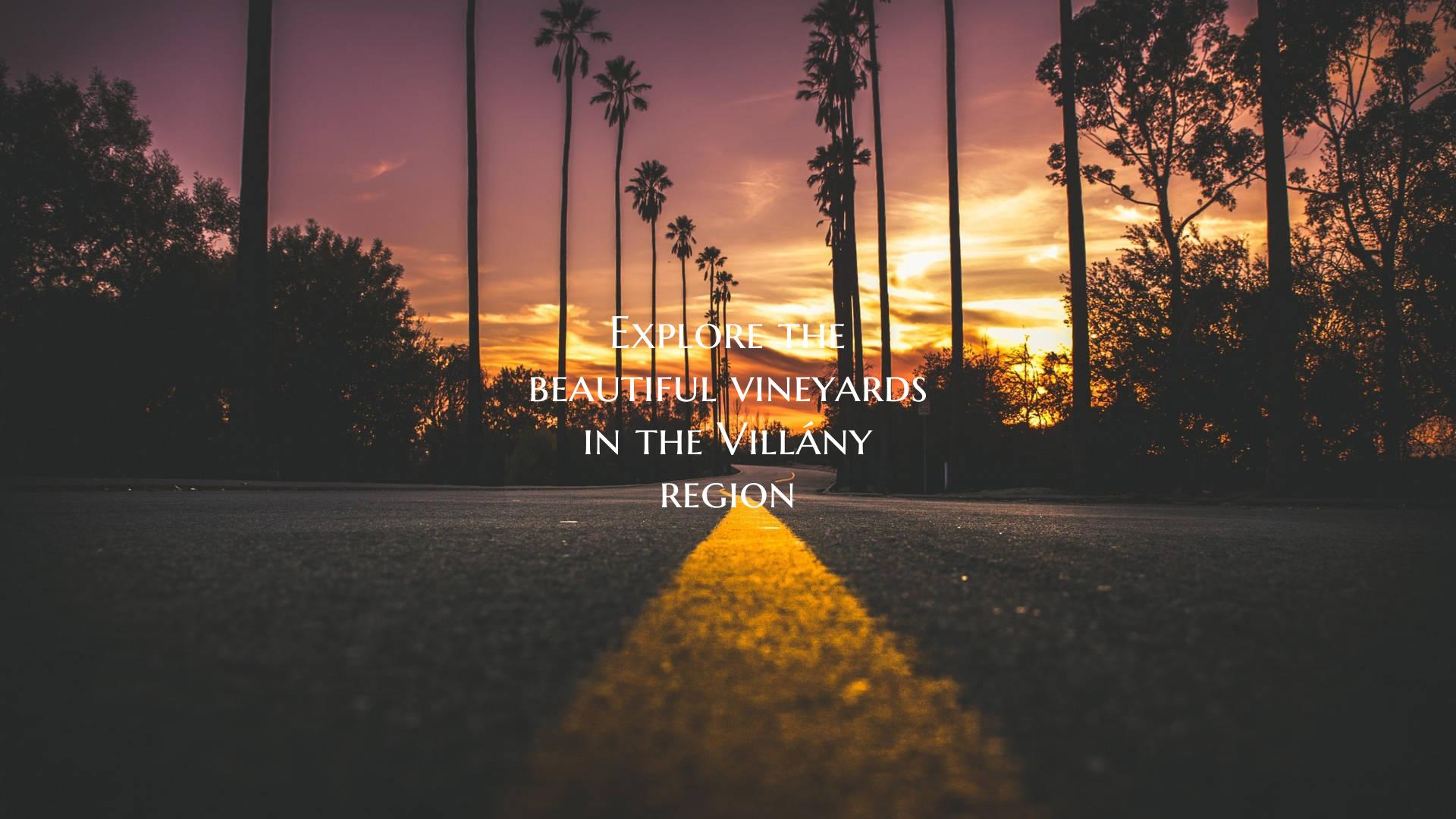 Explore the beautiful vineyards in the Villány re...